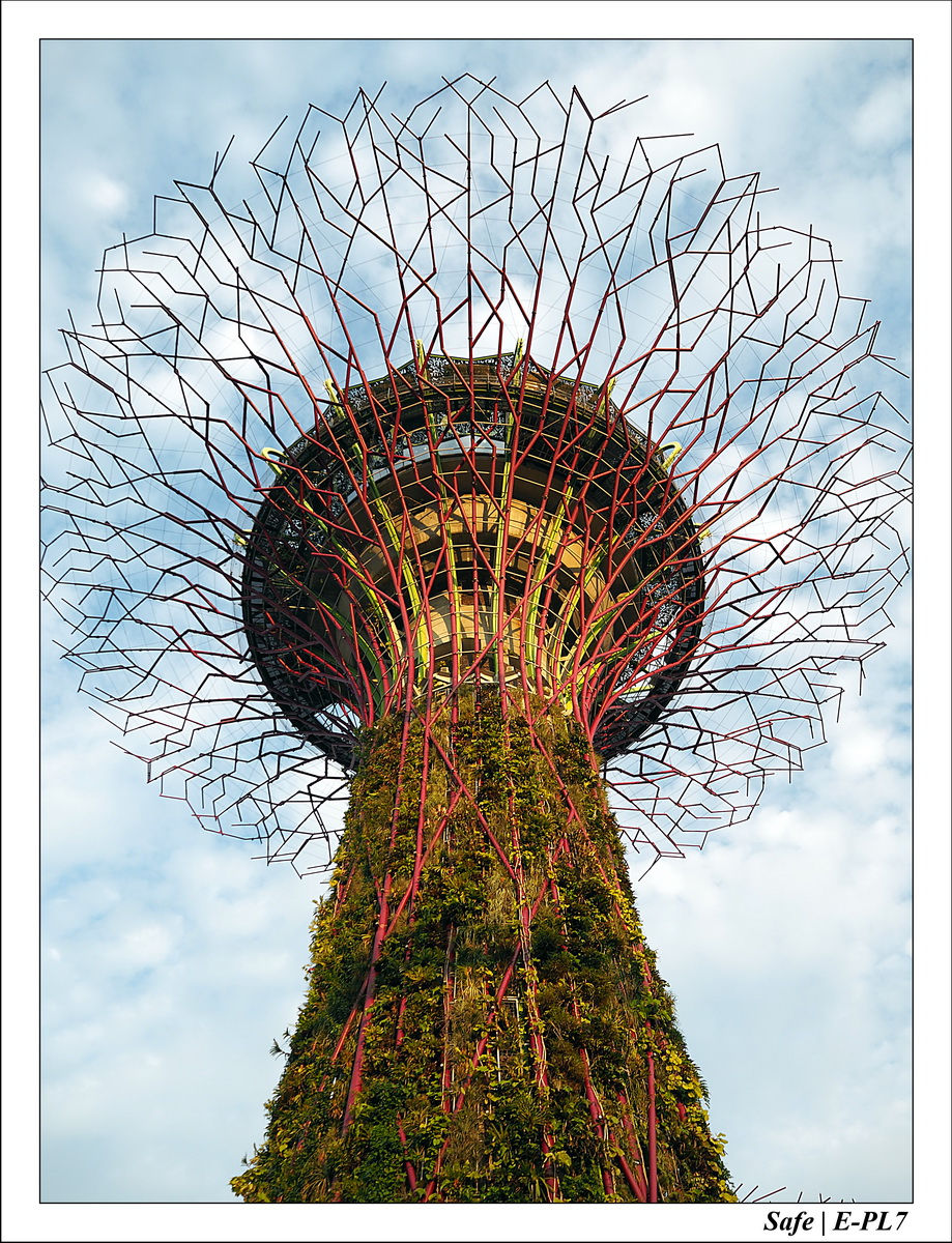 2016 - 07 - Singapour - 40